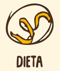 Dieta